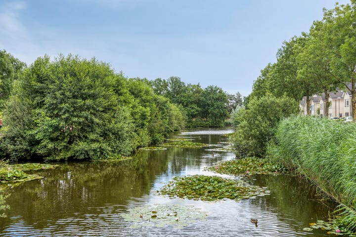 Foto 56 van Parklaan 26