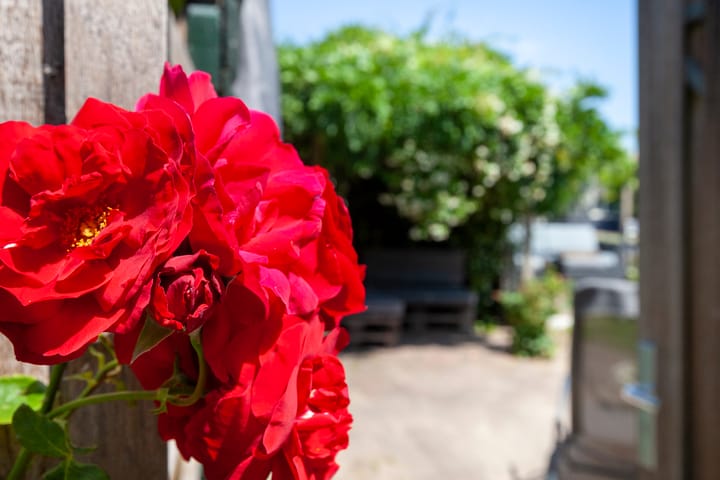 Foto 26 van Oosteinde 11-H87