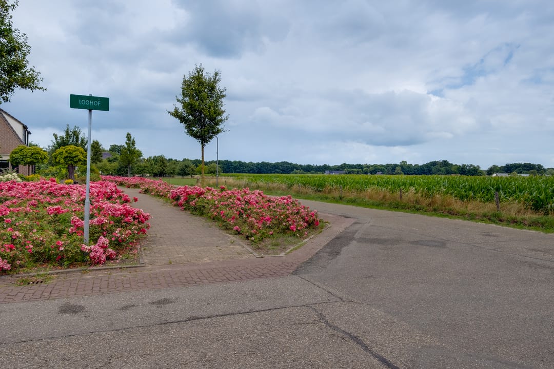 Photo 31 of Loohof 3