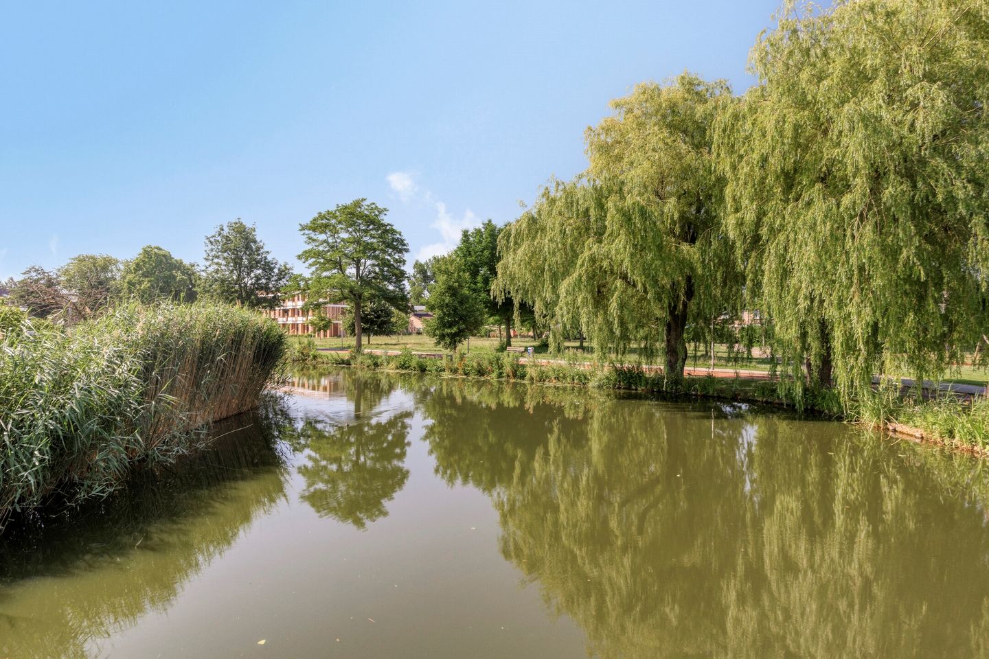 Foto 25 van Holterberg 168