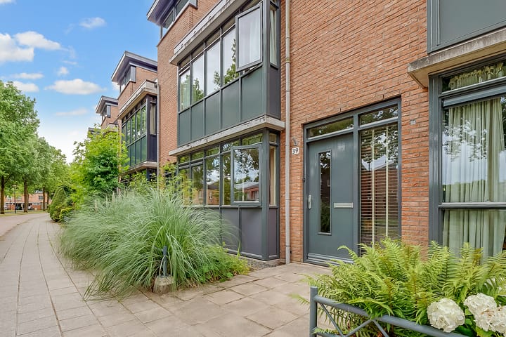 Foto 2 van Duizendguldenkruid 39