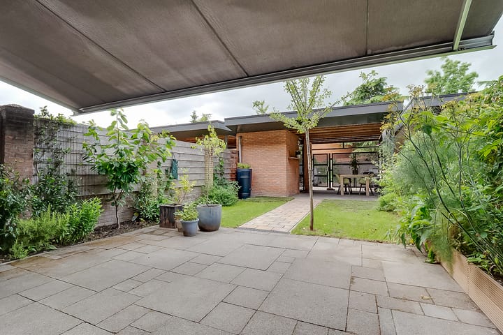 Foto 37 van Duizendguldenkruid 39