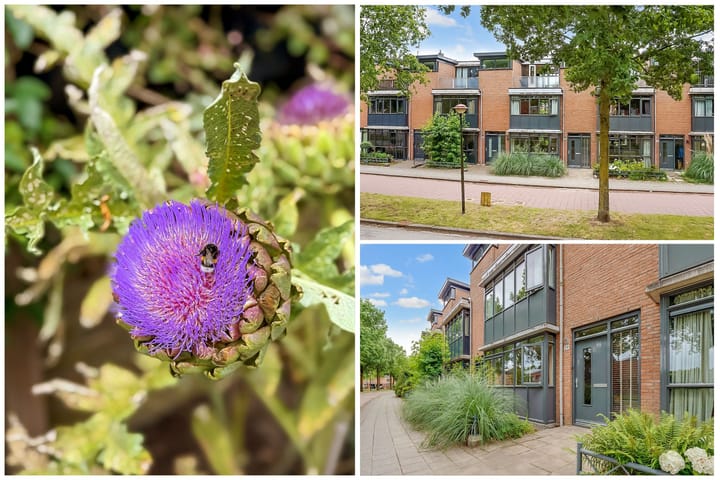 Foto 48 van Duizendguldenkruid 39