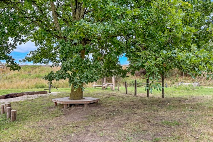 Foto 51 van Duizendguldenkruid 39