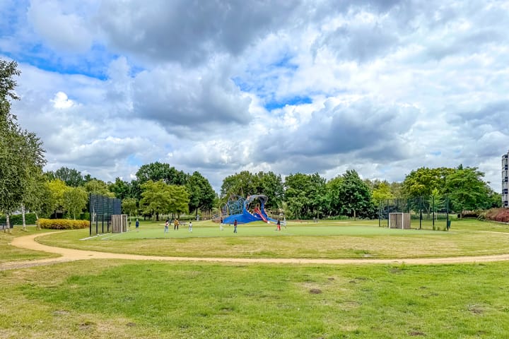 Foto 52 van Duizendguldenkruid 39