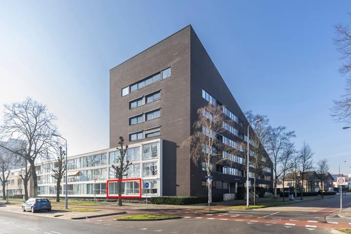 Willem de Bruynstraat 54