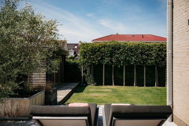 Photo 27 of Palissade 11