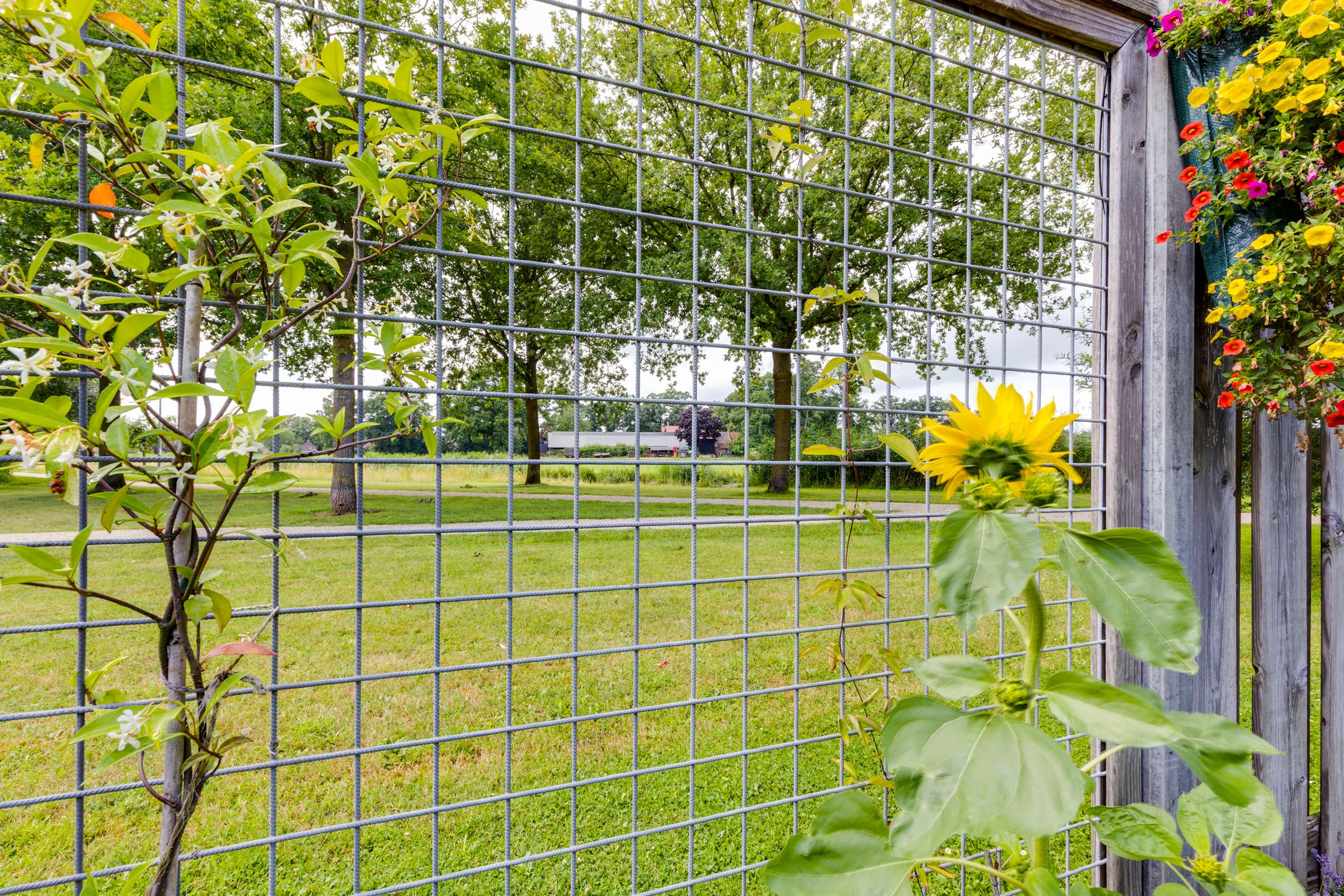 Foto 42 van De Hare 122