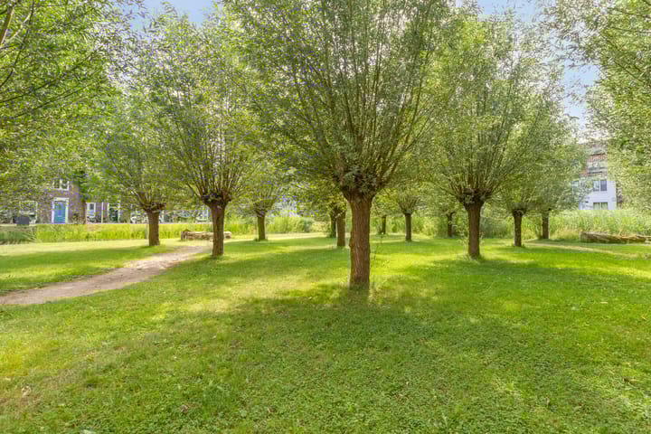 Foto 38 van Aart van der Leeuwlaan 22