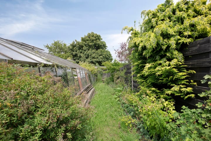 Foto 44 van Pieter Janszoon Jongstraat 160