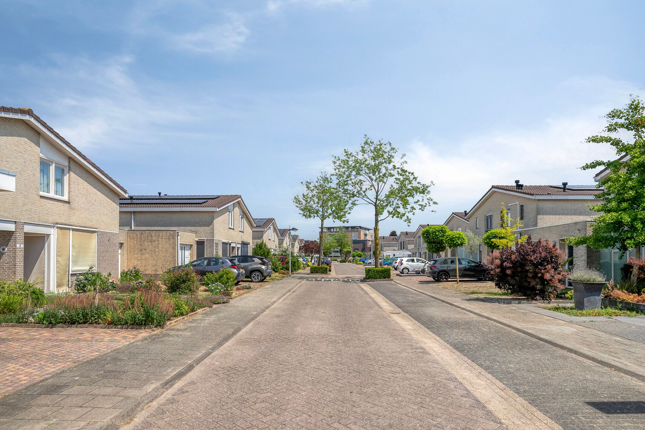 Foto 39 van Kamprechter 29