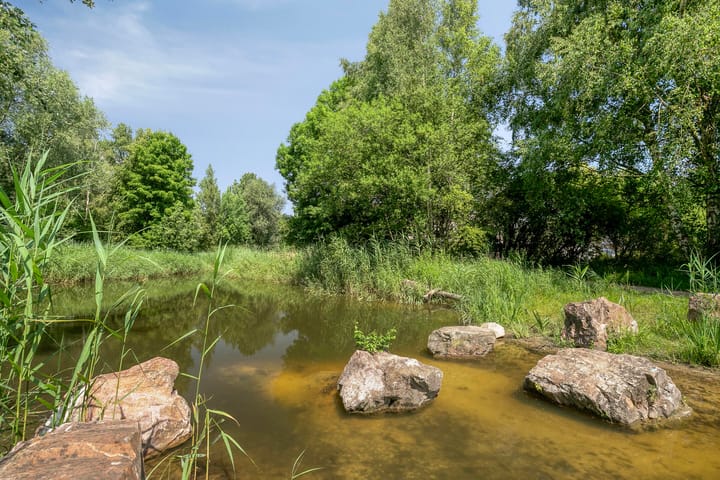 Photo 40 of Kamprechter 29