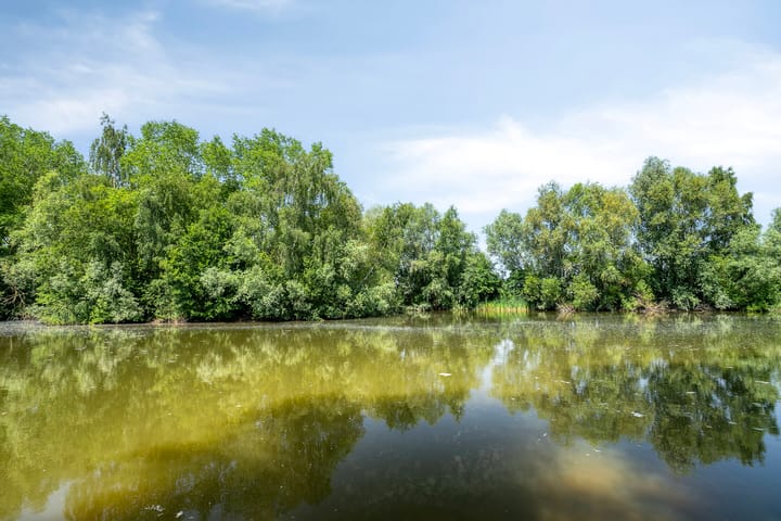 Photo 41 of Kamprechter 29