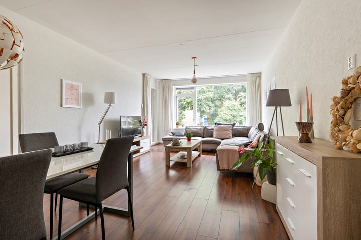 Foto 2 van Plutolaan 341