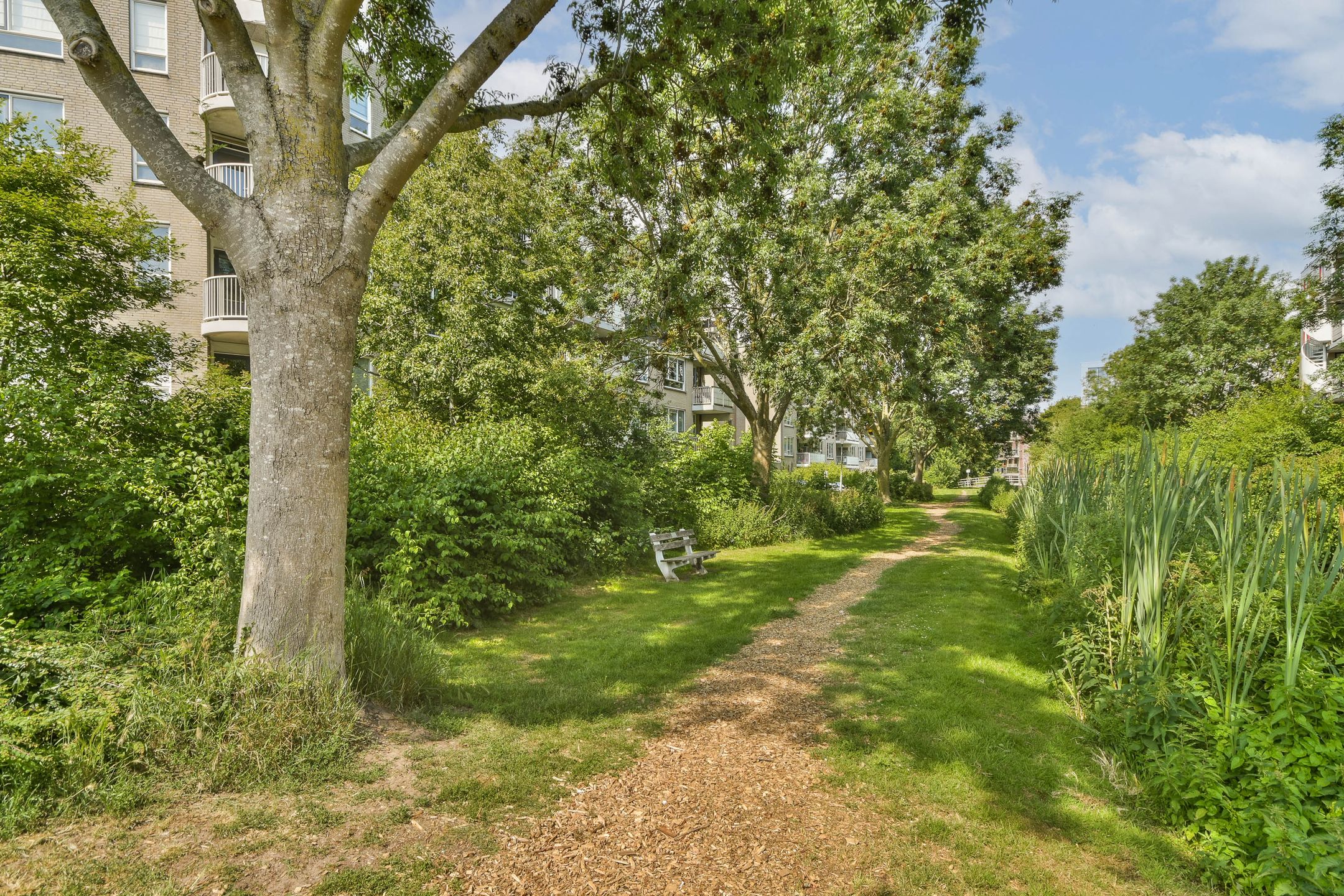 Photo 24 of Hofstraweg 306