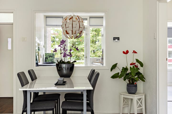 Foto 10 van Plutolaan 341