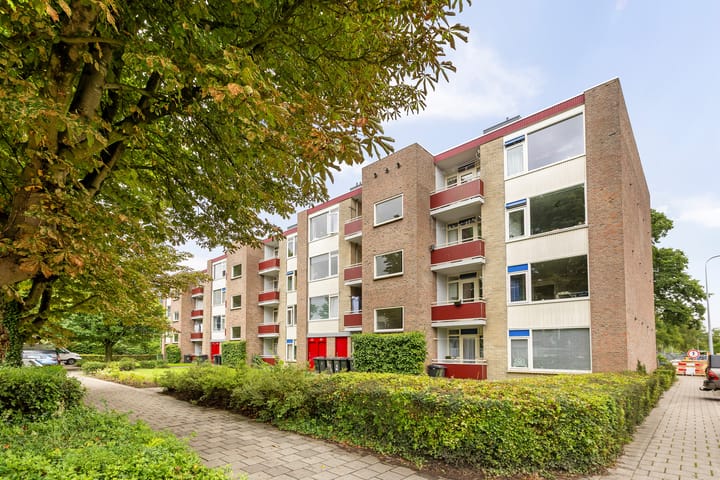 Foto 23 van Plutolaan 341