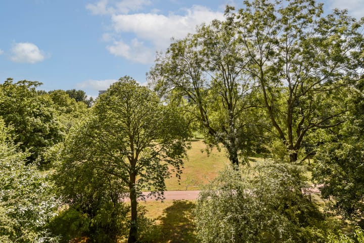 Foto 15 van Groenhoven 421