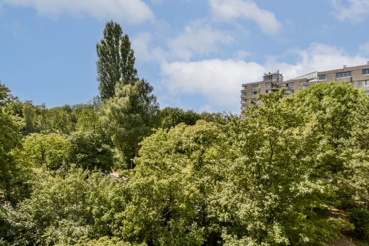 Foto 22 van Groenhoven 421