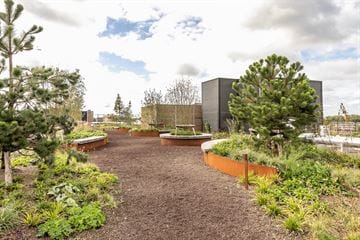 Foto 16 van Surinamepad 136