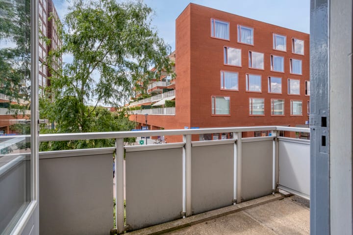 Foto 10 van De Gouden Leeuw 45