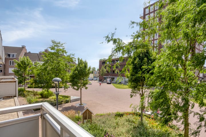 Foto 12 van De Gouden Leeuw 45