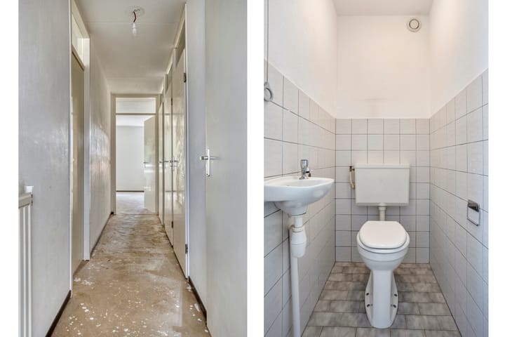 Foto 13 van De Gouden Leeuw 45