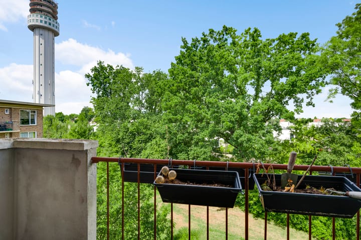 Foto 19 van Hambeek 66