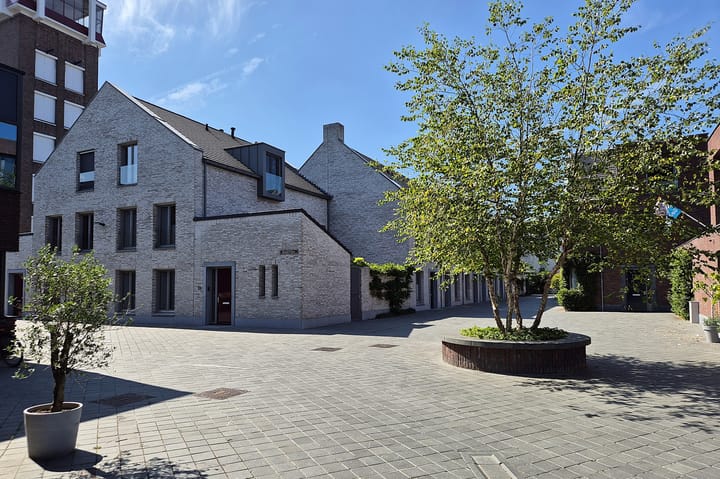 Foto 35 van Apostelenpavé 55