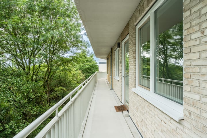 Foto 34 van Bart van der Leckhof 24