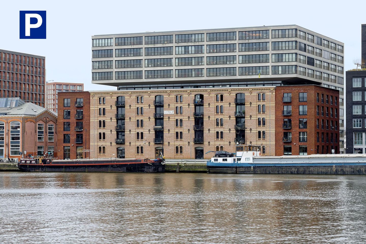 Foto 1 van Purperhoedenveem 24