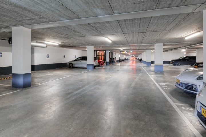 Foto 3 van Purperhoedenveem 24