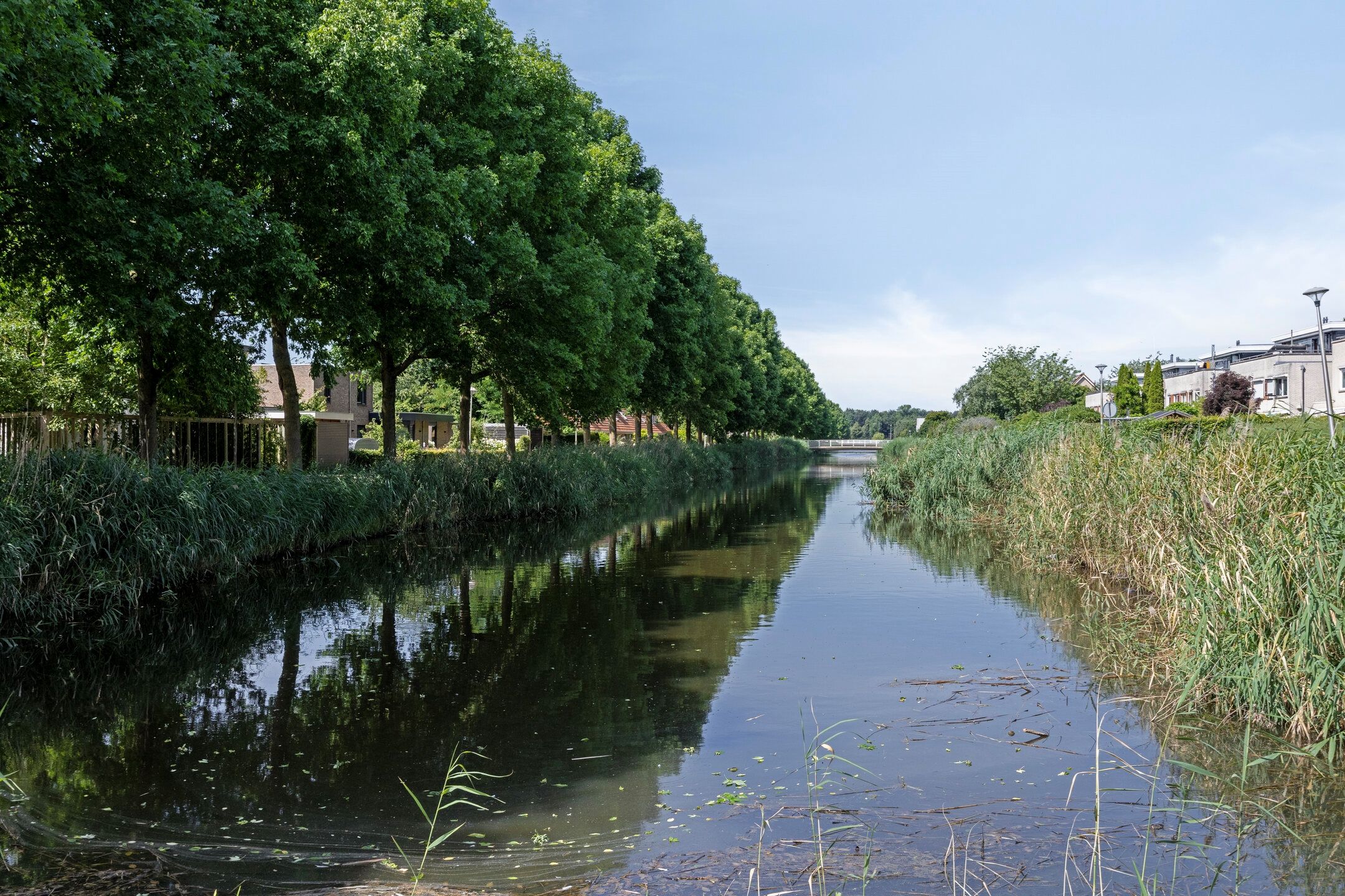 Foto 54 van Smaragd 73