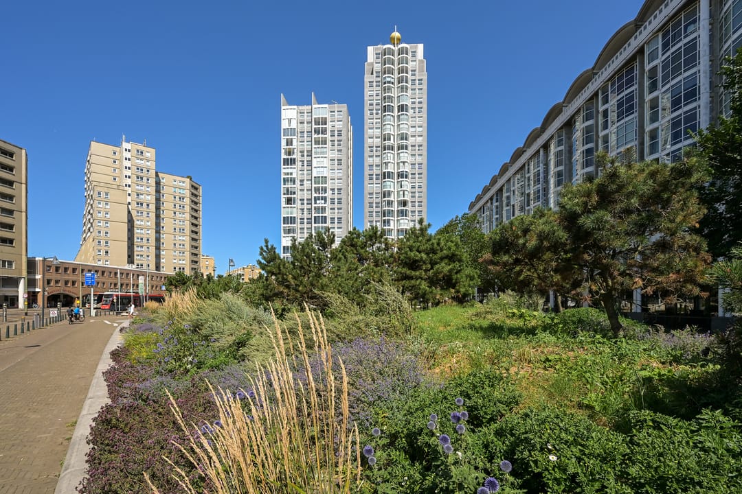 Foto 1 van Zwolsestraat 7