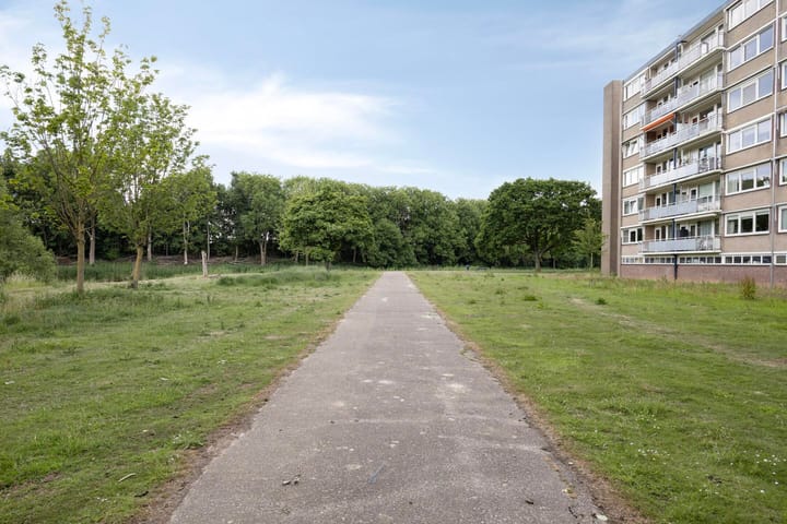 Foto 33 van Kruiskampsingel 143