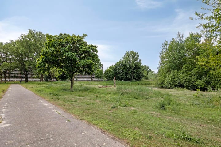 Foto 31 van Kruiskampsingel 143