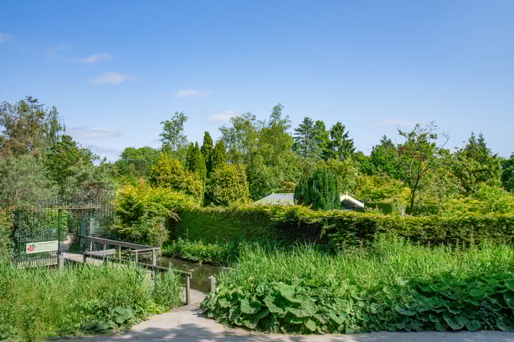 Foto 29 van Haarlemmerweg 513-3