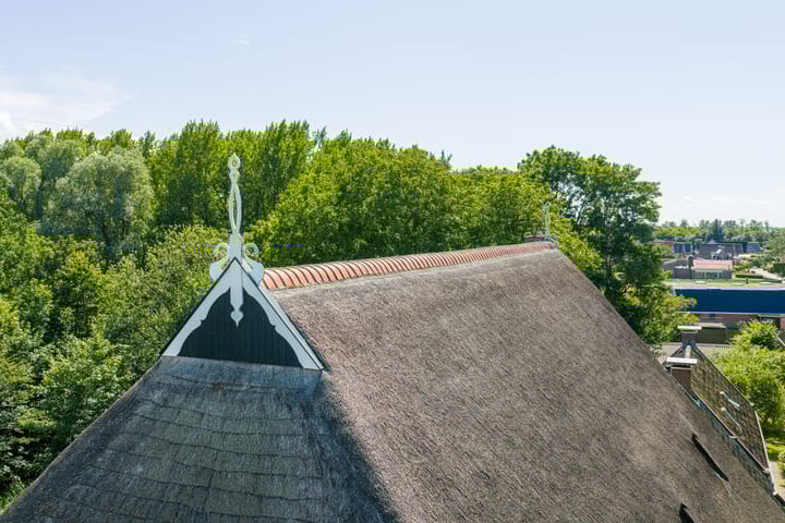 Photo 10 of Master fan Loanstrjitte 31