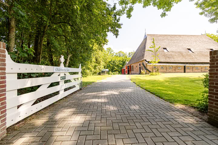 Photo 79 of Master fan Loanstrjitte 31