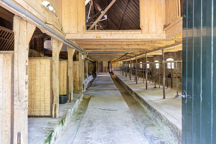 Photo 83 of Master fan Loanstrjitte 31