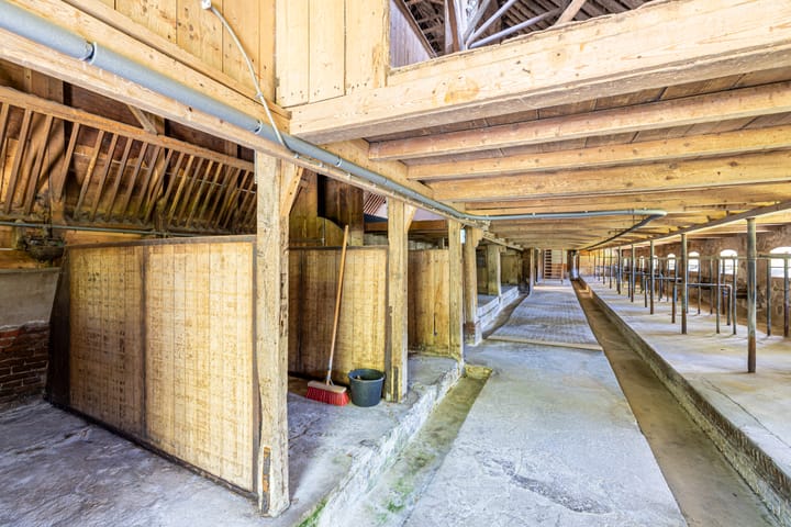 Photo 84 of Master fan Loanstrjitte 31