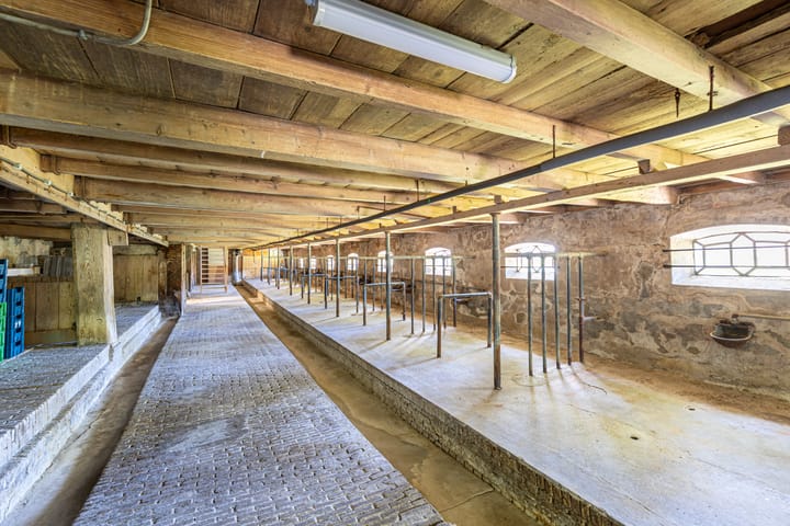 Photo 85 of Master fan Loanstrjitte 31