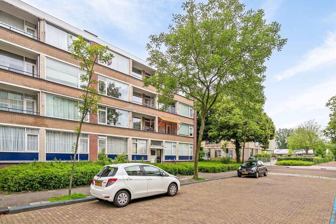 Foto 16 van Johan Coollaan 4