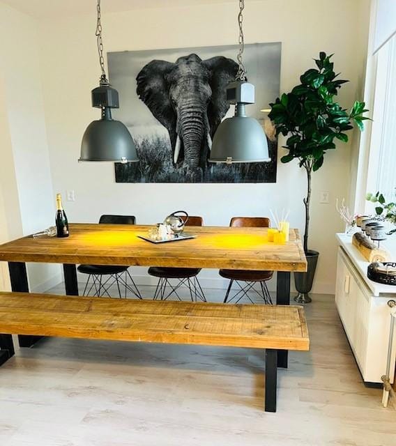 Foto 5 van Johan Coollaan 4