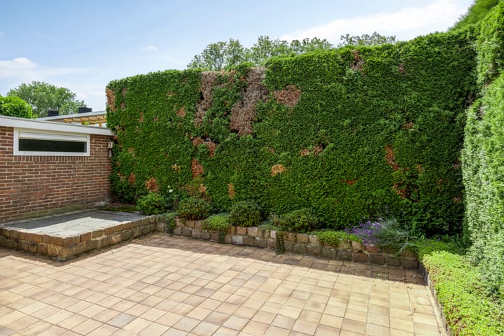 Foto 29 van Landsteinerstraat 49