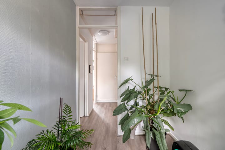 Foto 15 van Wederikplantsoen 22