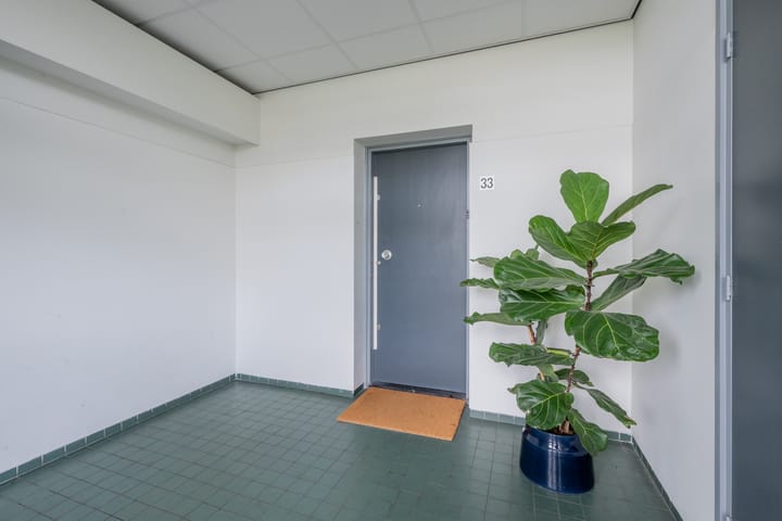 Foto 4 van Rachmaninoffplantsoen 33