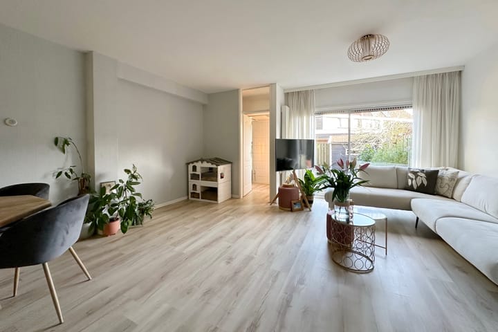 Photo 2 of Omloop 24