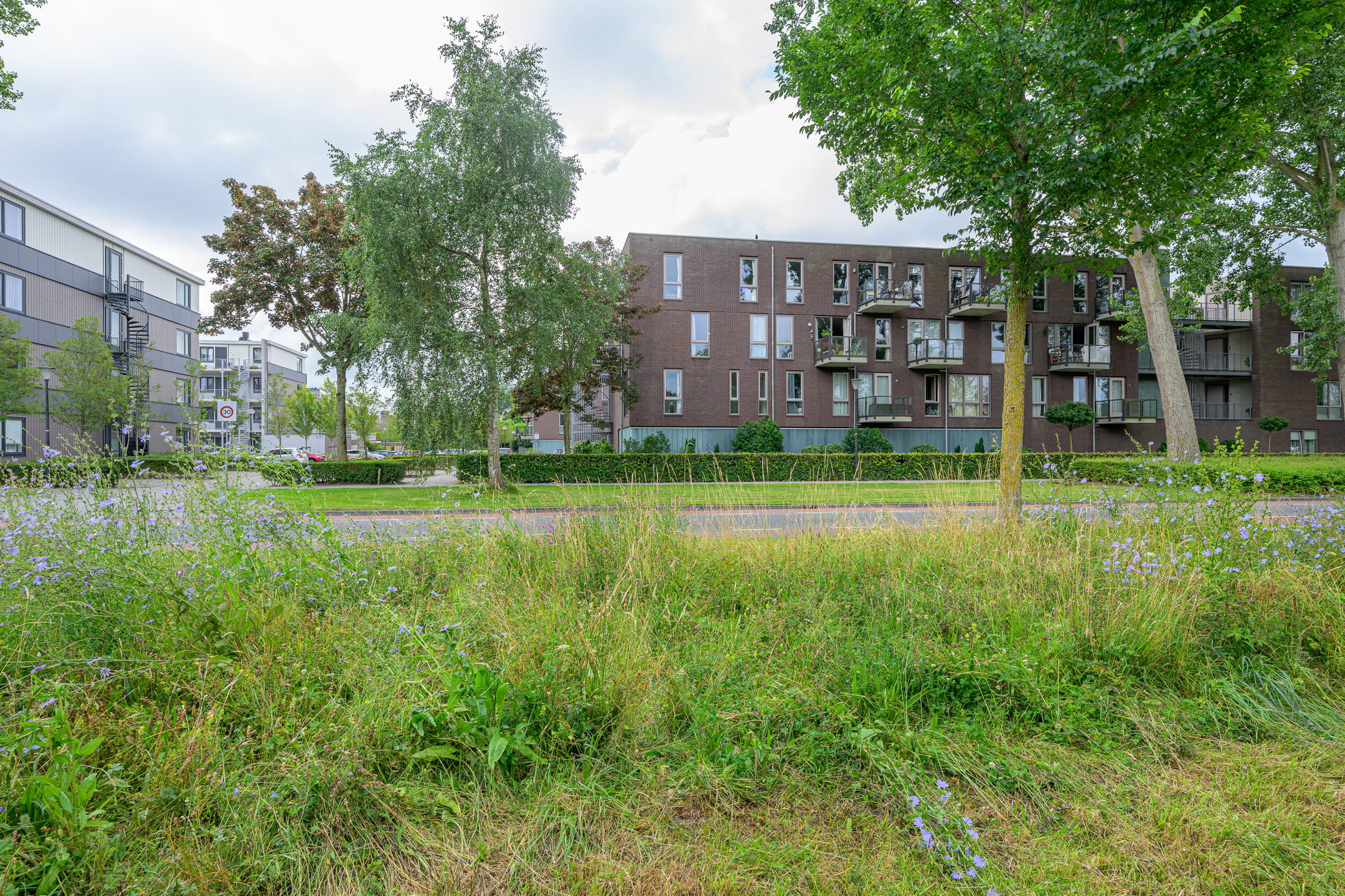 Foto 30 van Regioplein 47