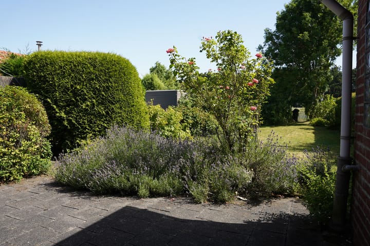 Photo 27 of Mariastraat 18